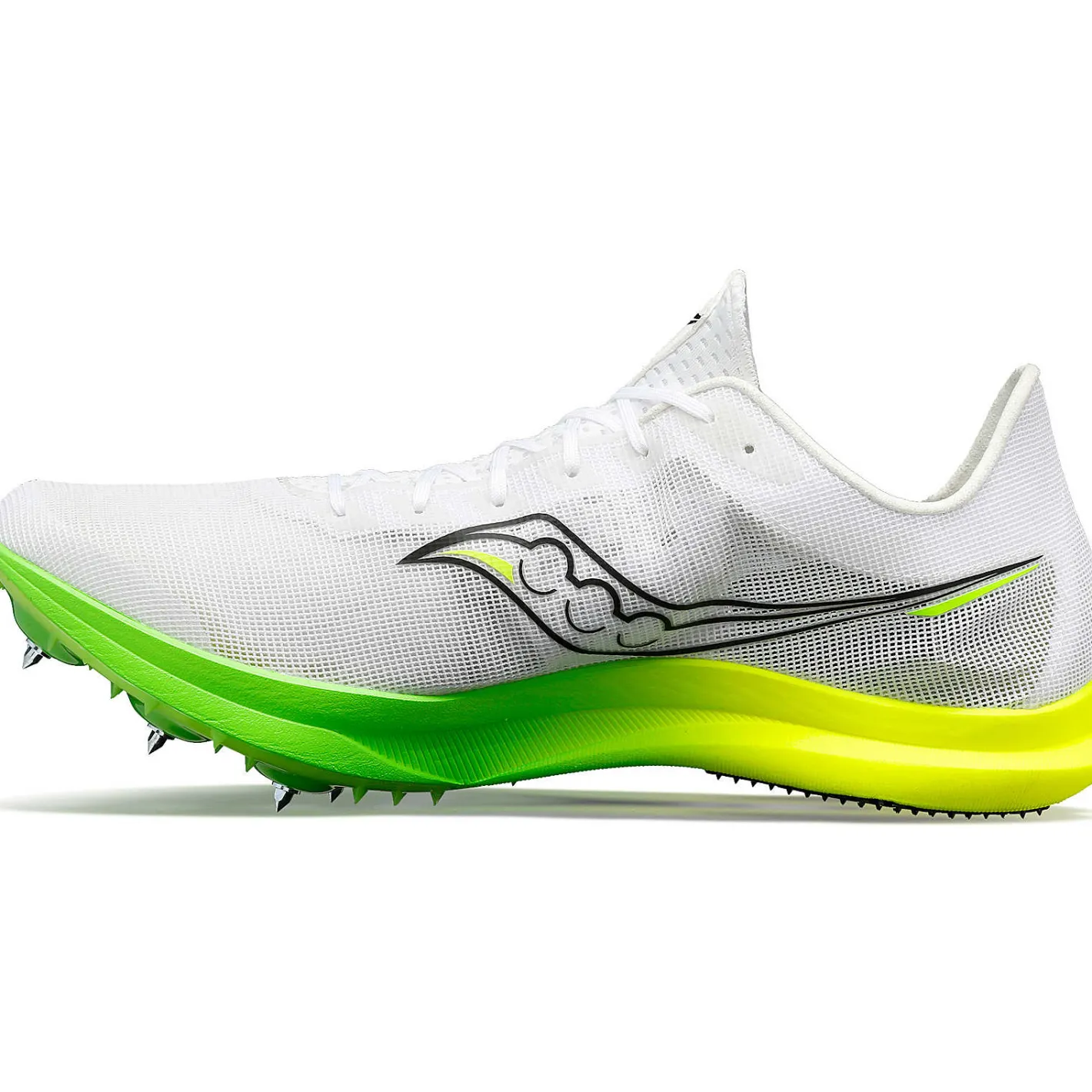 Donna Endorphin Cheetah|Saucony Best